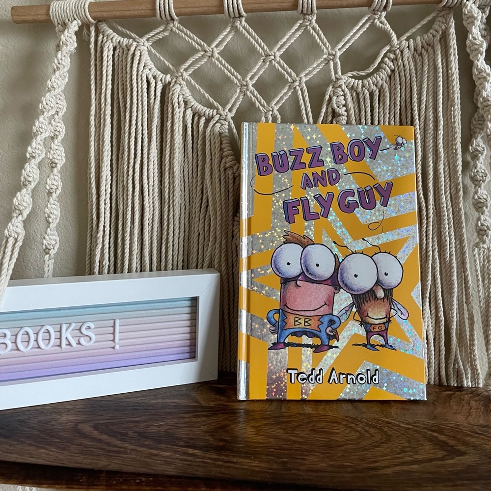 Buzz Boy And Fly Guy Hardcover Books